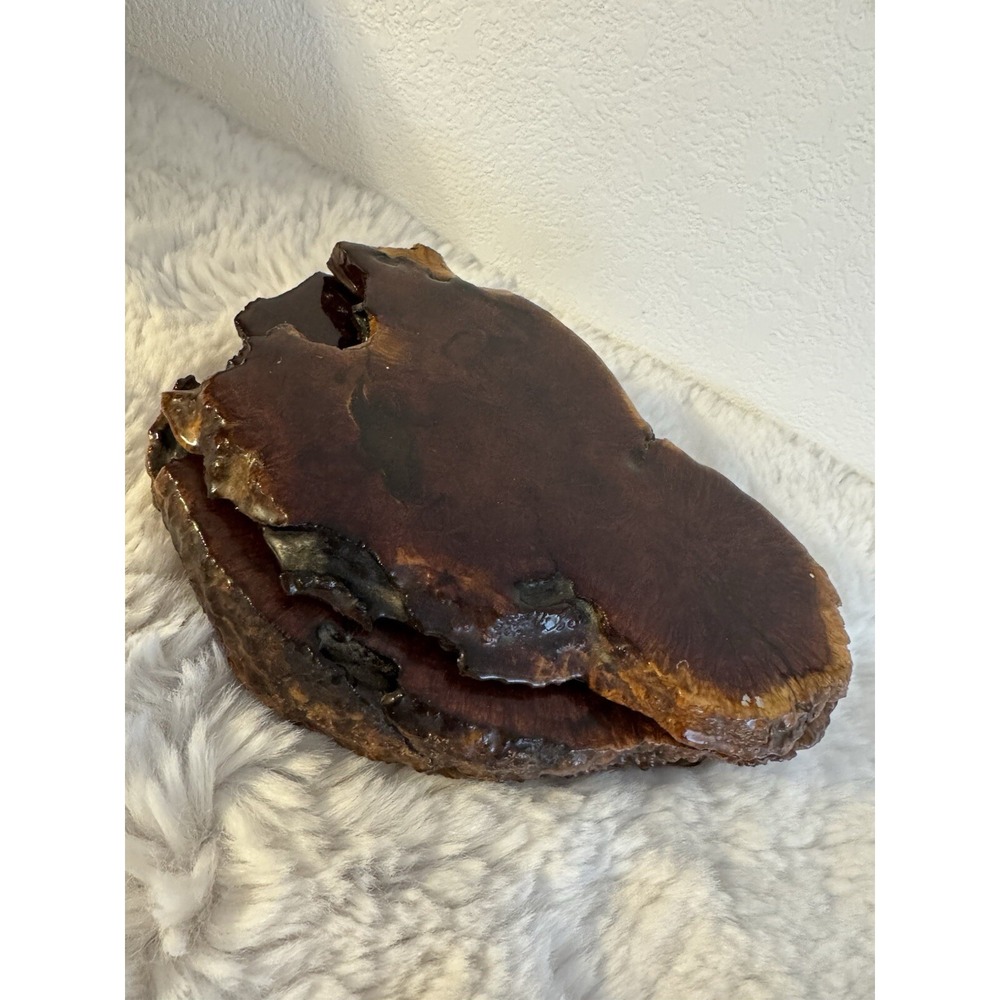Burl Wood Jewelry Or Trinket‎ Box With Lid Live Edge Deep Color Vintage